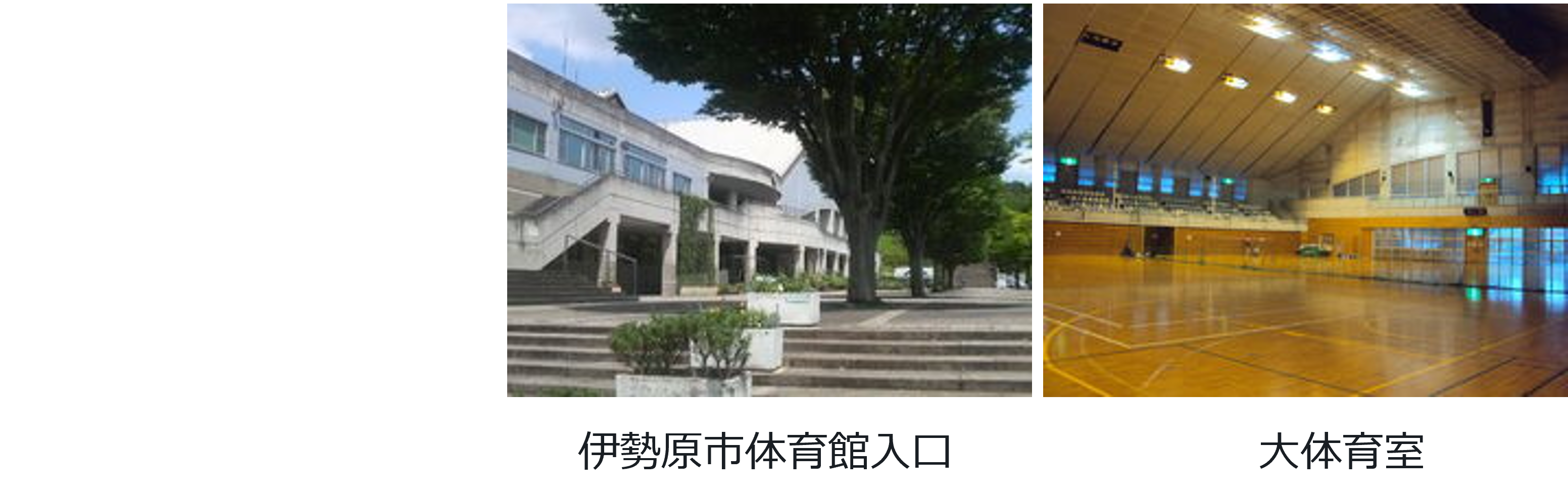 令和4年度会員募集